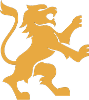 Big Cat General Contractor
